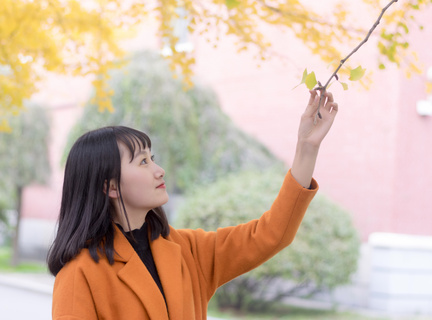 菲律宾旅游的必看景点有哪些(旅游景点推荐)